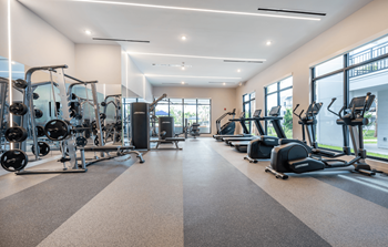 Professional fitness and wellness center